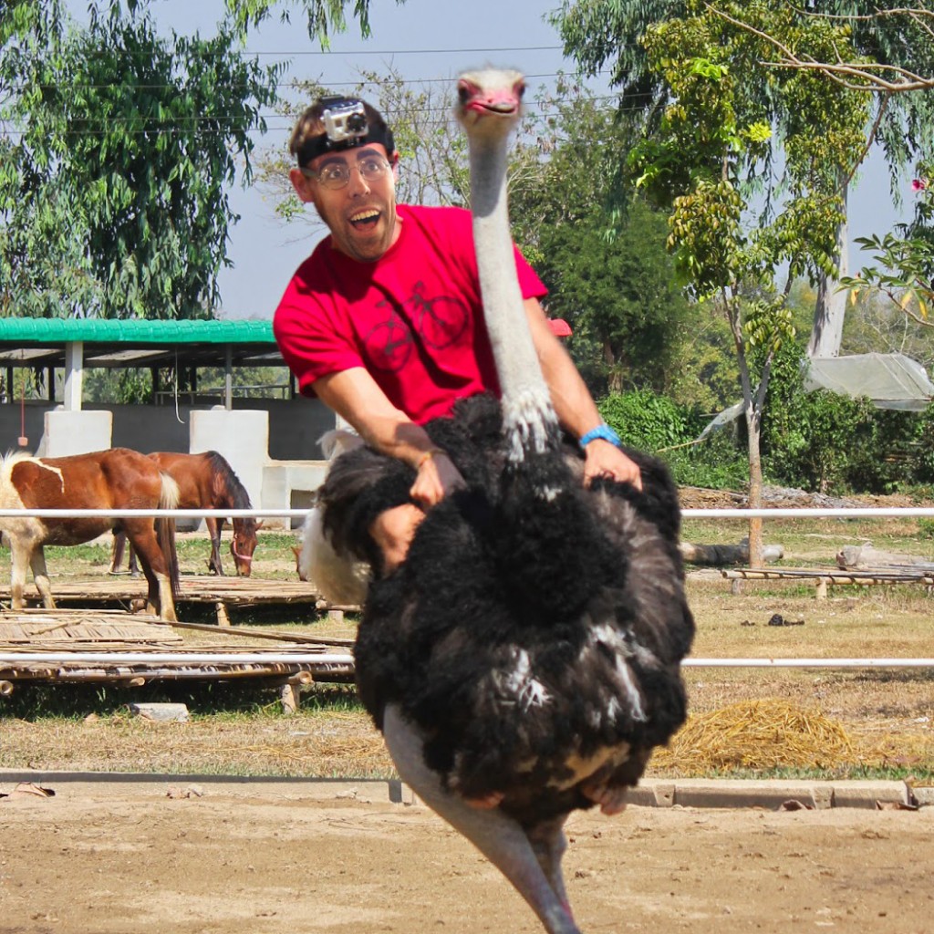 Ostrich Riding Cody | Project Cody